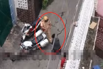 Xôn xao clip thiếu nữ quỳ lạy, xin xỏ CSGT