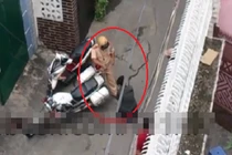 Xôn xao clip thiếu nữ quỳ lạy, xin xỏ CSGT