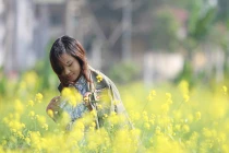 Hoa cải vàng rộ, chinh phục giới trẻ Hà thành