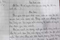 Bài văn đẫm nước mắt về người cha qua đời vì tai nạn