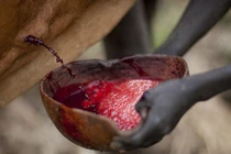 Nổi da gà với đặc sản khó nuốt nhất châu Phi