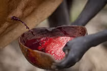 Nổi da gà với đặc sản khó nuốt nhất châu Phi