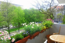 Lưu ý những điều cấm kỵ trong phong thủy ban công