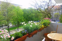 Lưu ý những điều cấm kỵ trong phong thủy ban công