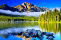 Những bức tranh phong thủy cấm kỵ treo trong phòng ngủ