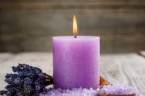 Sử dụng hoa này trong nhà, vận may sẽ ùn ùn kéo đến 