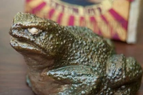 Rợn người những chiếc bánh hình thù quái dị