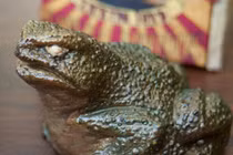 Rợn người những chiếc bánh hình thù quái dị