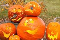 Ý nghĩa phong thủy ít biết của bí ngô trong lễ hội Halloween