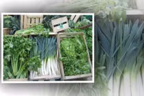 20 loại thực phẩm bảo vệ gan tốt nhất