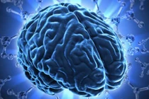 18 bí ẩn gây sốc về bộ não con người ít ai biết