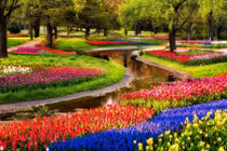 Mãn nhãn 10 cảnh đẹp rực rỡ nhất thế giới