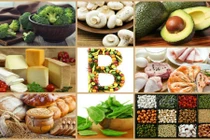 Vitamin được nạp vào cơ thể như thế nào?