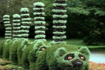 Video: “Ngả mũ bái phục” những ý tưởng làm vườn có một không hai