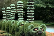 Video: “Ngả mũ bái phục” những ý tưởng làm vườn có một không hai