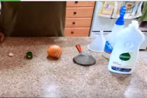 Tự chế thuốc trừ sâu từ ớt, tỏi, nước rửa chén