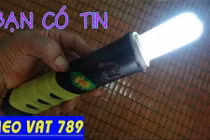 Thắp sáng bóng compact bằng vợt muỗi