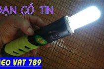 Thắp sáng bóng compact bằng vợt muỗi