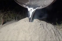 Đổ nhôm lỏng vào tổ kiến và bạn sẽ thấy điều bất ngờ