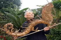 Kinh ngạc bộ sưu tập rễ tre của cụ ông 91 tuổi