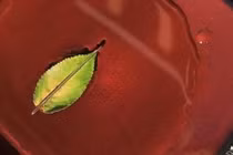 18 quy tắc sống còn nên biết để cứu mạng mình