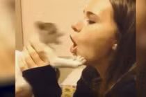 Cô gái trêu mèo bị cắn vì miệng quá hôi