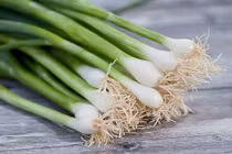 Công dụng tuyệt vời của hành lá ít người biết