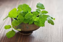 5 loại cây đuổi muỗi hiệu quả nên trồng trong nhà