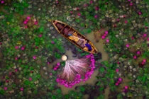 Video: 20 bằng chứng kì diệu cho thấy thế giới muôn màu