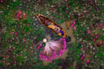 Video: 20 bằng chứng kì diệu cho thấy thế giới muôn màu