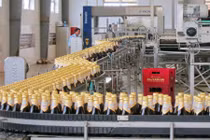 Video cận cảnh quy trình đóng hộp bia Sài Gòn