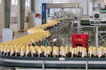 Video cận cảnh quy trình đóng hộp bia Sài Gòn