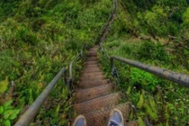 Thót tim với 10 bậc thang đáng sợ nhất thế giới