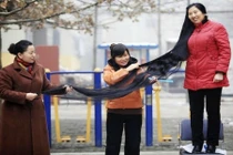 Những mái tóc dài “khủng” nhất thế giới gây sốc