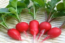 Trẻ lâu, thon gọn với nước ép củ cải đỏ 