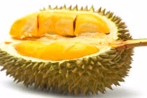 Cách nhận biết sầu riêng tẩm hóa chất chỉ trong nháy mắt