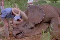 5 câu hỏi của trẻ con nhưng người lớn không thể trả lời