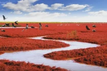 5 địa điểm du lịch nhất định phải đến trước khi chết