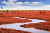 5 địa điểm du lịch nhất định phải đến trước khi chết