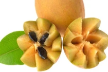 Công dụng tuyệt vời của quả hồng xiêm ai cũng cần biết