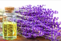 Công dụng tuyệt vời của tinh dầu hoa oải hương