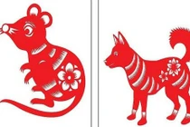 Video: Năm Mậu Tuất, xem tình yêu người tuổi Tuất với các con giáp khác