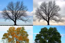 Giải pháp tuyệt vời giúp bạn dễ ngủ khi giao mùa