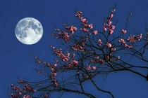 Kiêng kỵ phong thủy không thể xem thường trước tết Trung Thu