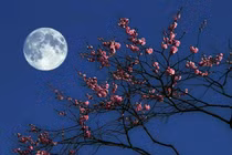 Kiêng kỵ phong thủy không thể xem thường trước tết Trung Thu