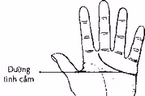 Nhìn điểm này của chỉ tay, biết ngay hôn nhân sướng khổ 