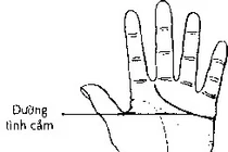 Nhìn điểm này của chỉ tay, biết ngay hôn nhân sướng khổ 