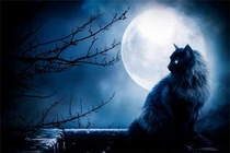 Điềm báo phong thủy ám chỉ vận xui sắp bủa vây nhà bạn 