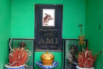 Chuyện lạ lùng về ngôi mộ “chó tổ” duy nhất tại Việt Nam