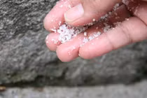 Vì sao nhiều người hay rắc muối quanh nhà vào ngày mưa? 